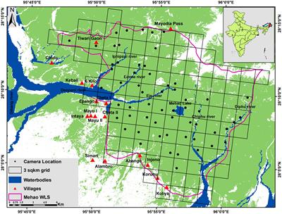 Site occupancy of select mammals in the tropical forest of Eastern Himalaya